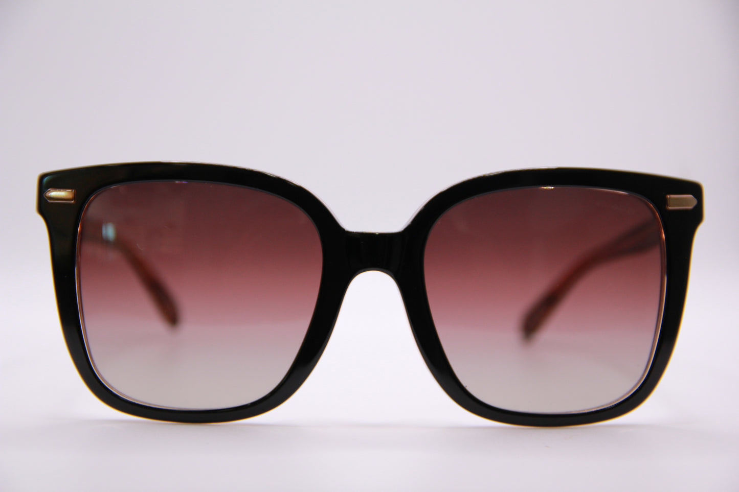 Coach Sunglasses HC8381U
