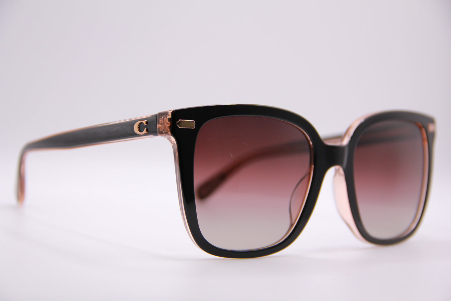 Coach Sunglasses HC8381U