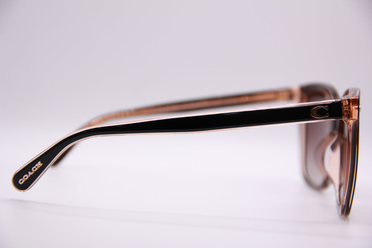 Coach Sunglasses HC8381U