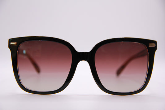 Coach Sunglasses HC8381U